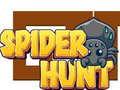 Spel Spider Hunt