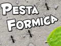 Spel Pesta Formica