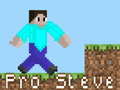Spel Pro Steve
