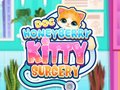 Spel Doc HoneyBerry Kitty Surgery