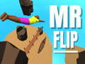 Spel Mr Flip