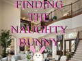Spel Finding The Naughty Bunny