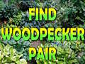 Spel Find Woodpecker Pair 