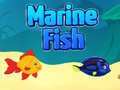 Spel Marine Fish