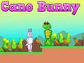 Spel Cano Bunny