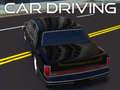 Spel Car Driving