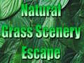 Spel Natural Grass Scenery Escape