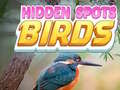 Spel Hidden Spots Birds