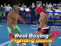 Spel Real Boxing Fighting Game