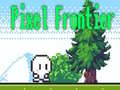 Spel Pixel Frontier