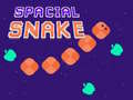 Spel Spacial Snake