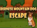 Spel Bernese Mountain Dog Escape