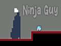Spel Ninja Guy