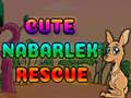 Spel Cute Nabarlek Rescue