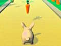 Spel Rabbit Runner
