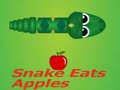 Spel Snake Eats Apple