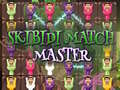 Spel Skibidi Match Master