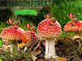 Spel Mushroom Forest Adventure