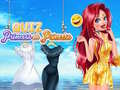 Spel Flash Quiz Princess Vs Princess