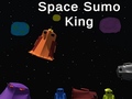 Spel Space Sumo King