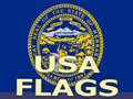 Spel Usa Flags 