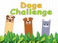 Spel Doge Challenge