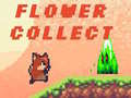 Spel Flower Collect