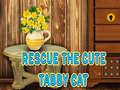 Spel Rescue The Cute Tabby Cat