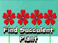 Spel Find Succulent Plant