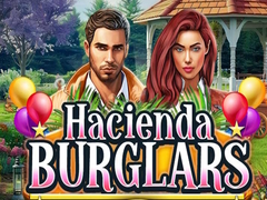 Spel Hacienda Burglars