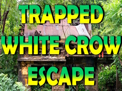 Spel Trapped White Crow Escape