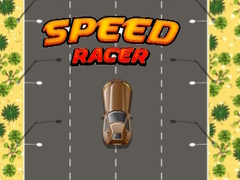 Spel Speed Racer