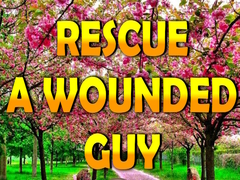 Spel Rescue A Wounded Guy