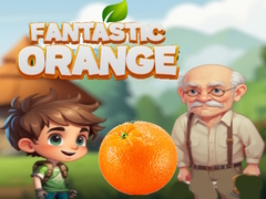 Spel Fantastic Orange