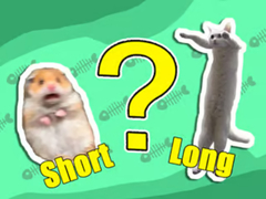 Spel Kids Quiz: Shortest And Longest