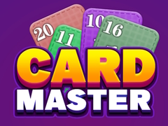 Spel Card Master