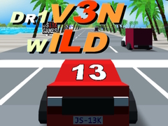 Spel Dr1v3n Wild