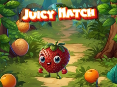 Spel Juicy Match