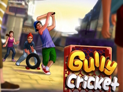 Spel Gully Cricket