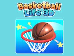 Spel Basketball Life 3D