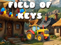 Spel Field of Keys