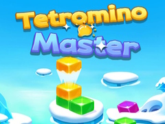 Spel Tetromino Master