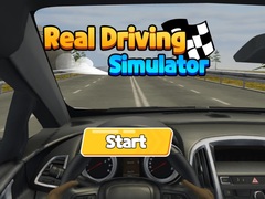 Spel Real Driving Simulator