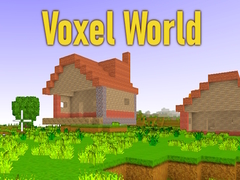 Spel Voxel World