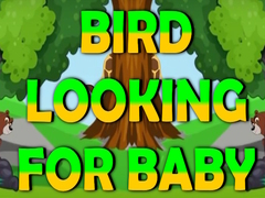 Spel Bird Looking For Baby