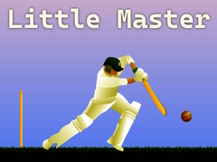 Spel Little Master