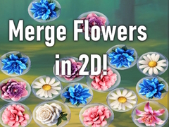 Spel Merge Flowers in 2D!