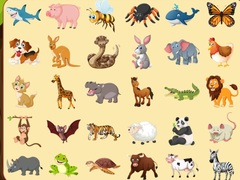 Spel Discover Animals