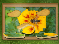Spel Find & Restore: Hidden Puzzle