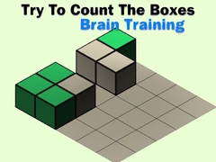 Spel Try To Count The Boxes Brain Training
